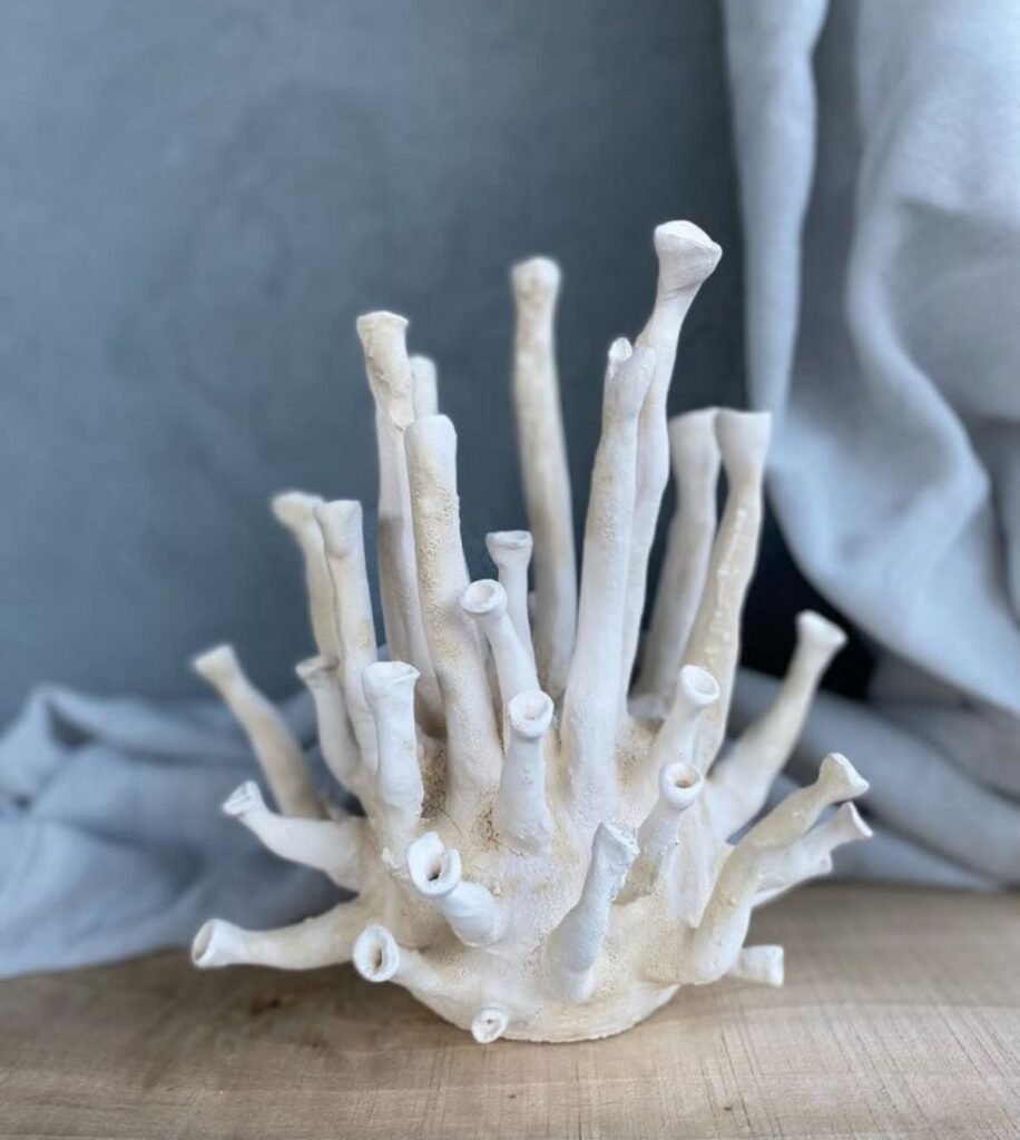 Coral de cerámica